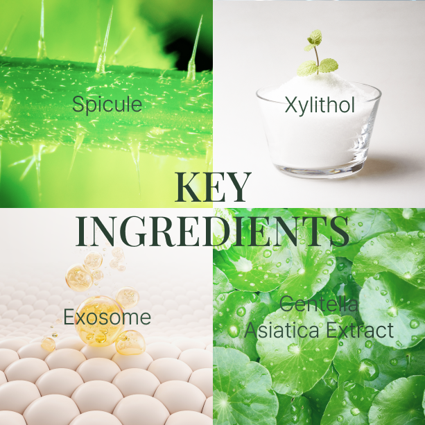 Fromforet spicule-exosome hair ampole